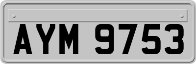 AYM9753