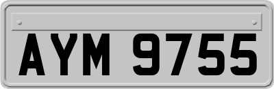 AYM9755