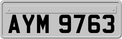 AYM9763