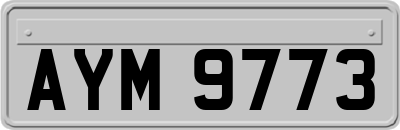 AYM9773