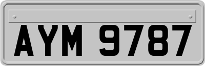 AYM9787
