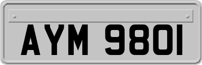 AYM9801