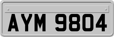 AYM9804