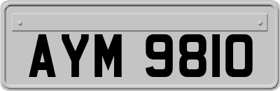 AYM9810