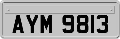 AYM9813
