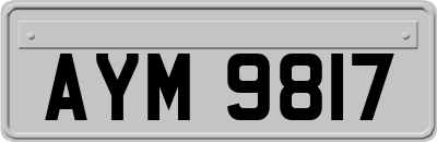 AYM9817