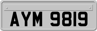 AYM9819