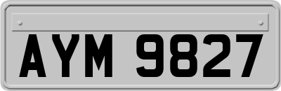 AYM9827