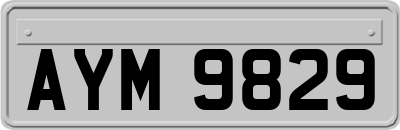 AYM9829