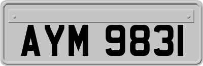 AYM9831