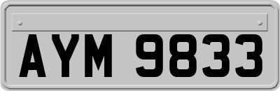 AYM9833