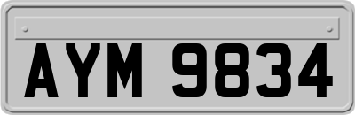 AYM9834