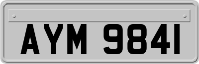 AYM9841