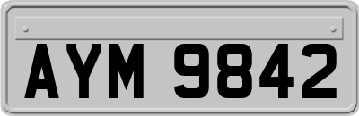 AYM9842