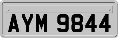 AYM9844
