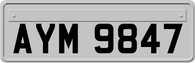 AYM9847