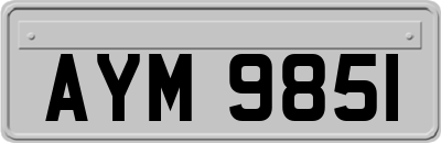 AYM9851