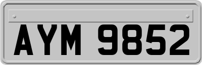 AYM9852