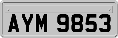 AYM9853