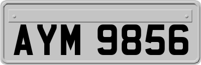AYM9856