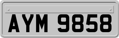 AYM9858