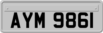AYM9861