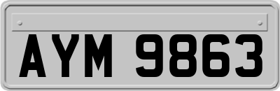 AYM9863