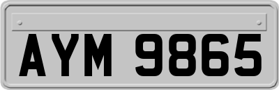 AYM9865