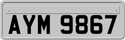 AYM9867