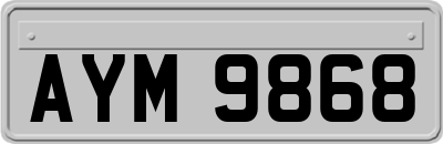 AYM9868