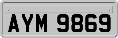 AYM9869