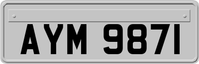 AYM9871