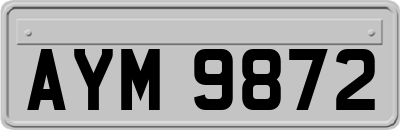 AYM9872