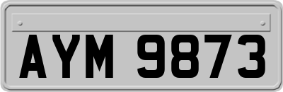 AYM9873