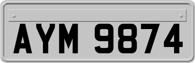 AYM9874