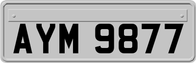 AYM9877