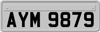 AYM9879