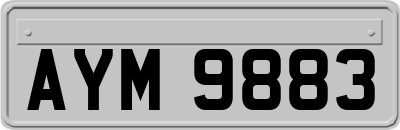 AYM9883