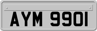 AYM9901