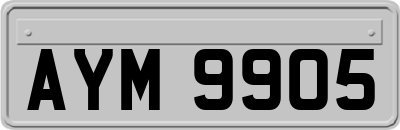 AYM9905