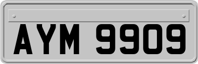 AYM9909