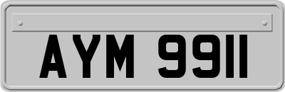 AYM9911