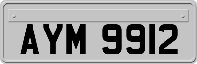 AYM9912