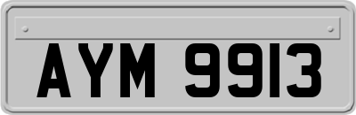AYM9913
