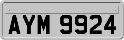 AYM9924
