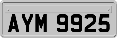 AYM9925