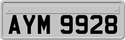 AYM9928
