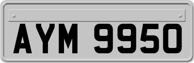 AYM9950