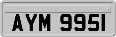 AYM9951