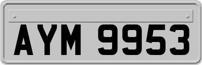 AYM9953